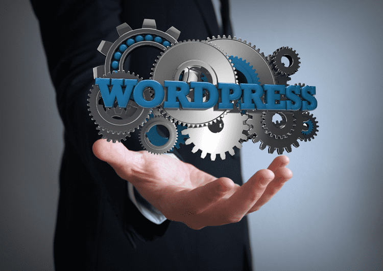 paginas web wordpress